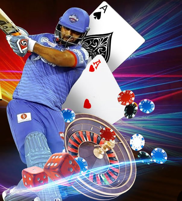 cvb666